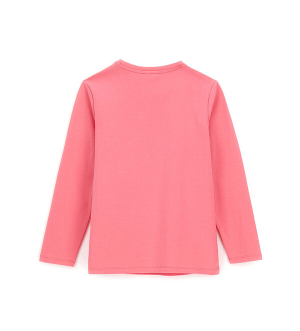 #COLOR_PINK