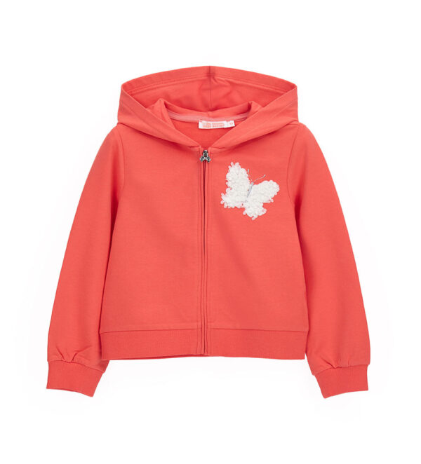 #COLOR_CORAL