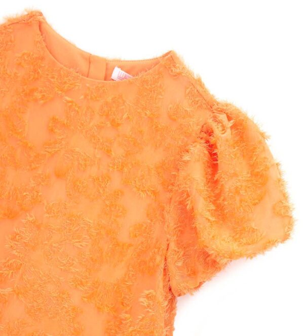 #COLOR_PEACH