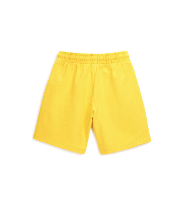 #COLOR_YELLOW