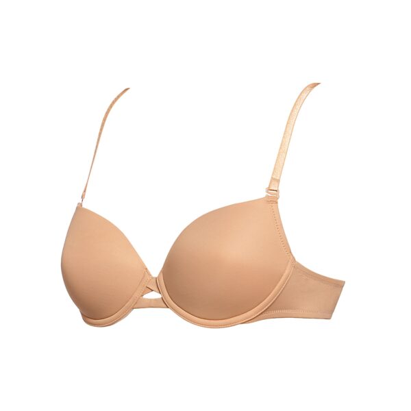 #color_Bronze