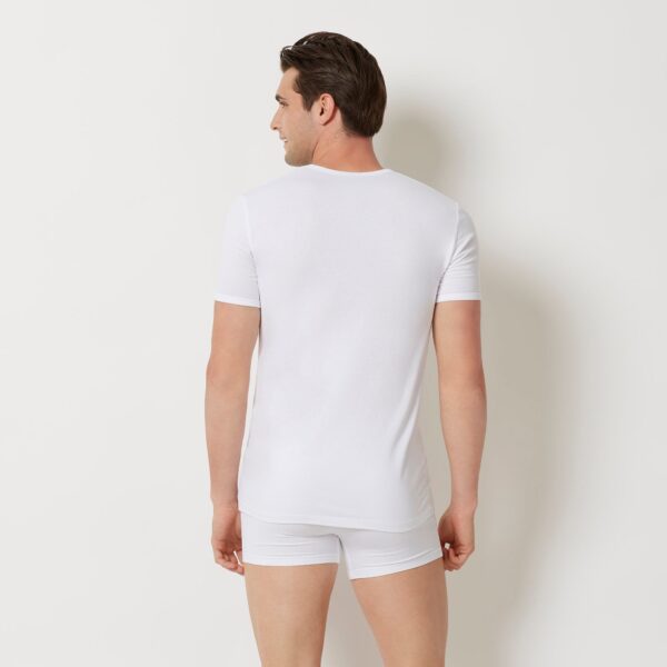 #color_White