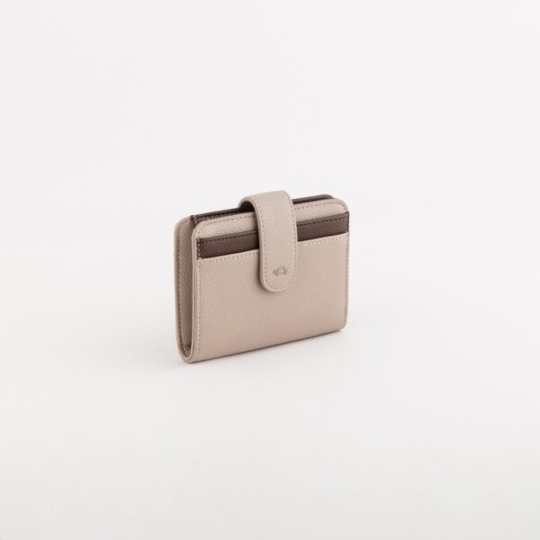 #COLOR_BEIGE