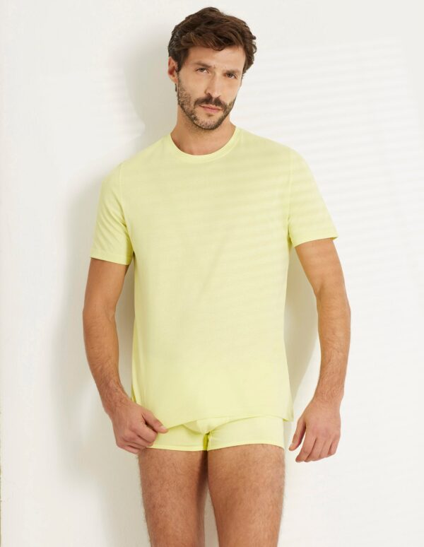 #color_Yellow