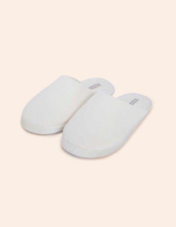 #COLOR_OFF WHITE