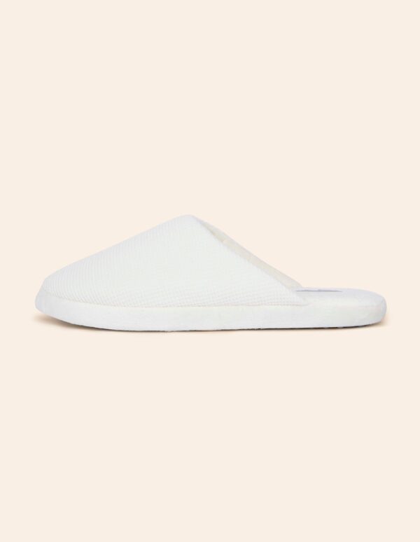 #COLOR_OFF WHITE