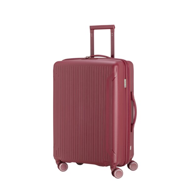 Chariots rigides moyens Flexitech F – Image 2
