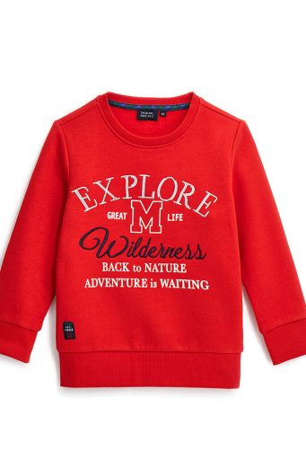 Sweat-shirt brodé pour garçon de Noël