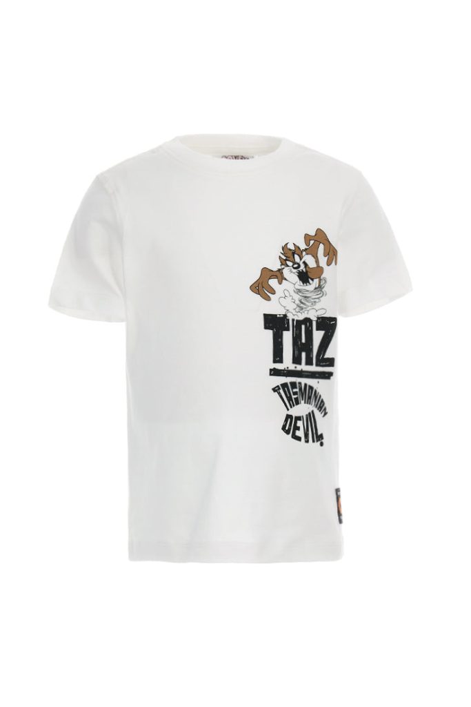 T-shirt ethnique Beach Boy Warner Bros 1