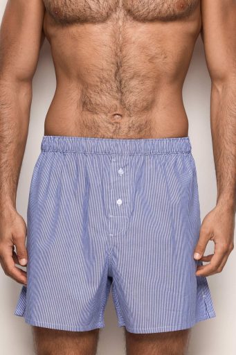 Briefs quotidiens sur l’homme