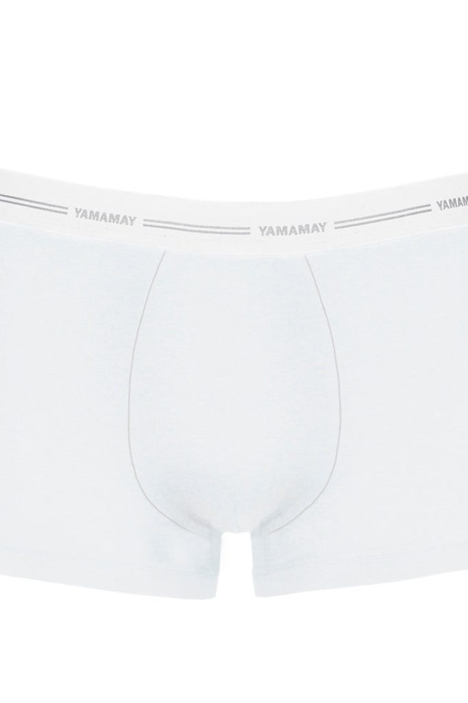 Boxer Millennium Man